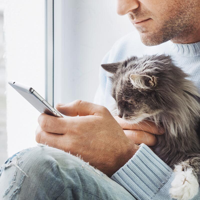 Request An Appointment At Olmito Veterinary Hospital In Olmito Tx man holding and petting fluffy cat while looking at phone near window
